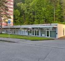 Haus zum Kaufen in Waldkirch 1.185.000,00 € 382 m²