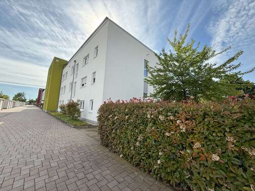 Foto - Wohnung zum Mieten in Haßloch 750,00 € 67 m²