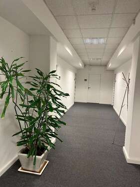 Foto - Büro in Hamburg 650,00 € 26 m² - 650,00&nbsp;EUR Kaltmiete, ca.&nbsp; 26,00&nbsp;m&sup2;