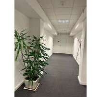 Büro in Hamburg 650,00 € 26 m² - 650,00&nbsp;EUR Kaltmiete, ca.&nbsp; 26,00&nbsp;m&sup2; in Hamburg (PLZ: 22299)