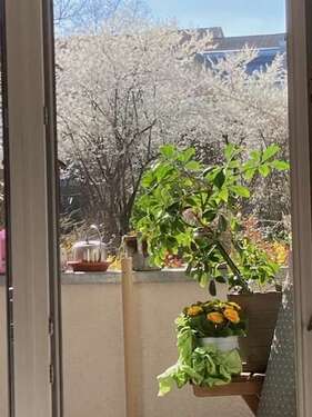 Foto - Wohnung zum Mieten in Darmstadt 908,00 € 54 m²