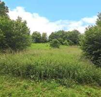 Grundstück zu verkaufen in Katzwinkel 25.000,00 € 913 m²