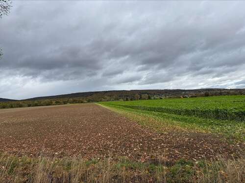 Foto - Grundstück zu verkaufen in Springe-Alvesrode 159.000,00 € 1030 m²