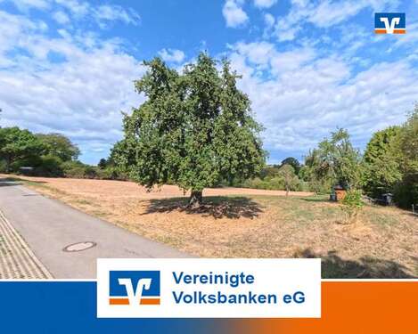 Foto - Grundstück in Böblingen 58.000,00 € 1160 m²