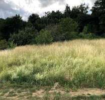 Grundstück zu verkaufen in Bassenheim 327.600,00 € 1092 m²