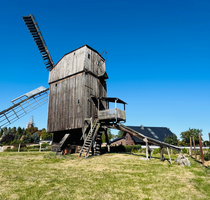 Grundstück zu verkaufen in Ausleben 89.000,00 € 650 m²