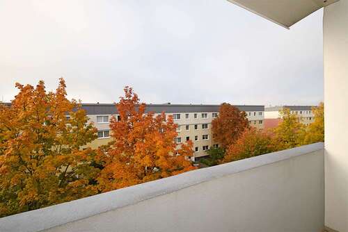 Foto - Wohnung zum Mieten in Halle (Saale) 341,76 € 56.96 m²