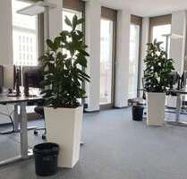 Büro in Böblingen 2.300,00 € 78 m²