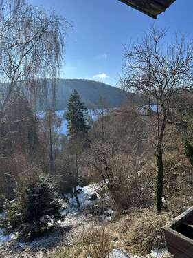 Foto - Haus zum Kaufen in Albstadt-Truchtelfingen 374.000,00 € 215 m²