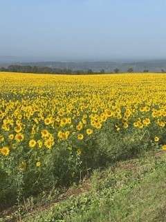 Foto - Grundstück zu verkaufen in Wallerfangen 114.750,00 € 459 m²