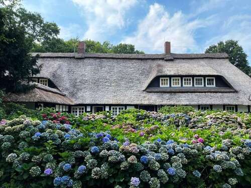 Foto - Haus zum Kaufen in Wildeshausen 2.400.000,00 € 700 m²