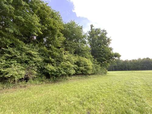 Foto - Grundstück in Pfaffing 165.000,00 € 16500 m²