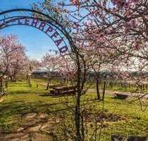 Grundstück zu verkaufen in Neustadt 368.000,00 € 721 m²