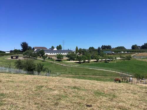 Foto - Haus zum Kaufen in Burscheid 1.985.000,00 € 506 m²