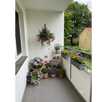 Wohnung zum Kaufen in LauenburgElbe 99.000,00 € 55 m² - Lauenburg/Elbe