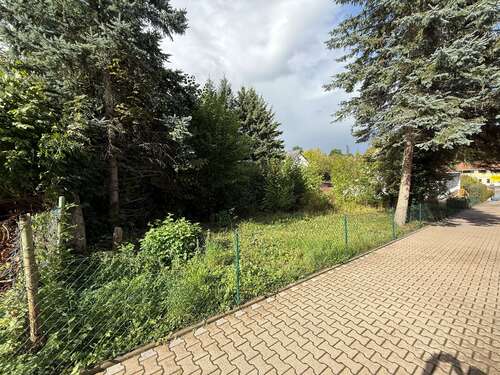 Foto - Grundstück zu verkaufen in Stadtoldendorf 25.000,00 € 516.1 m²