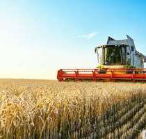 Grundstück in Ibbenbüren 481.644,00 € 40137 m²