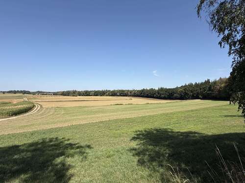 Foto - Grundstück in Grafrath 128.800,00 € 9200 m²