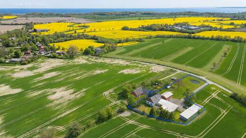 Foto - Haus zum Kaufen in Damp 395.000,00 € 397 m²