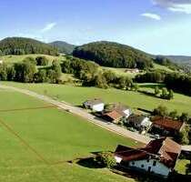 Grundstück zu verkaufen in Ringelai 96.600,00 € 966 m²