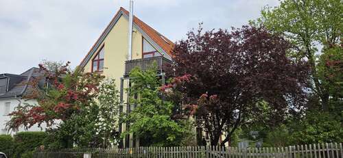 Foto - Wohnung zum Mieten in Dresden 436,90 € 43.69 m²