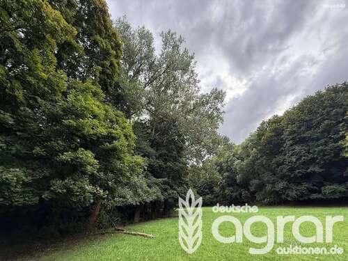Foto - Grundstück in Winterscheid 12.900,00 € 11190 m²