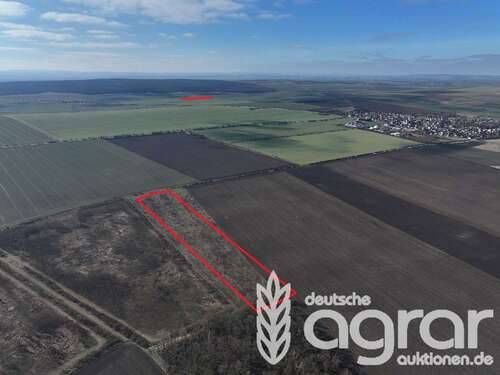 Foto - Grundstück in Börde-Hakel 115.800,00 € 46353 m²