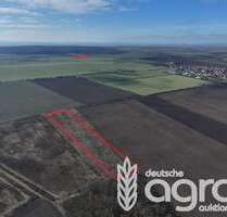 Grundstück in Börde-Hakel 115.800,00 € 46353 m²