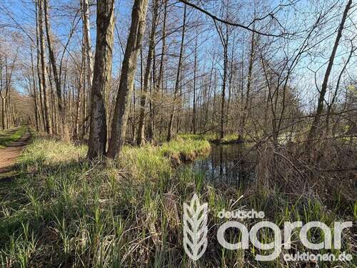 Foto - Grundstück in LübbenauSpreewald Leipe 7.900,00 € 12541 m²