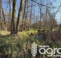 Grundstück in LübbenauSpreewald Leipe 7.900,00 € 12541 m² - Lübbenau/Spreewald / Leipe