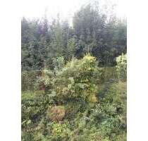 Wohnung zum Mieten in Wuppertal 475,00 € 45 m²