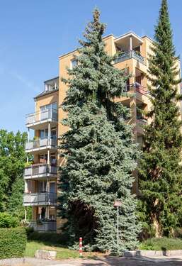 Foto - Wohnung zum Mieten in Chemnitz 380,73 € 55.99 m²