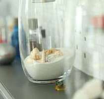 Haus zum Kaufen in Alt Tucheband 567.843,00 € 125 m²