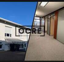 Halle in Offenbach am Main 3.390,00 € 490 m²