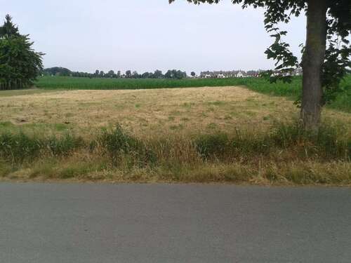 Foto - Grundstück zu verkaufen in Zierow 424.960,00 € 1024 m²