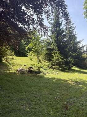 Foto - Grundstück zu verkaufen in Werdau 75.000,00 € 1201 m²
