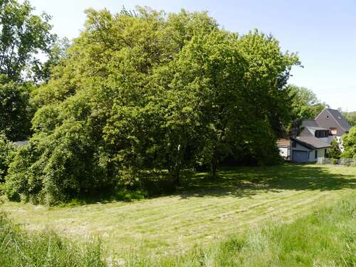 Foto - Grundstück zu verkaufen in Schwerte 220.000,00 € 833 m²