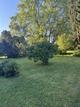 Foto - Wohnung zum Kaufen in Berlin 159.000,00 € 34 m²