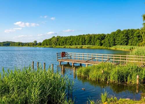 Foto - Haus zum Kaufen in Loddin 4.500.000,00 € 2316 m²