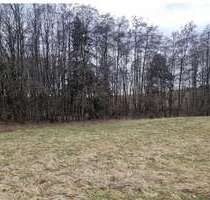 Grundstück in Windorf 19.830,00 € 3305 m²