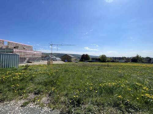 Foto - Grundstück zu verkaufen in Morbach 47.000,00 € 529 m²