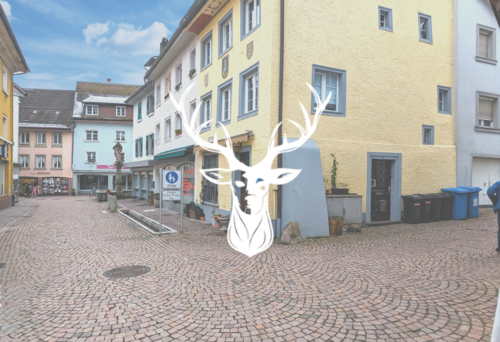 Foto - Haus zum Kaufen in Waldshut-Tiengen 419.000,00 € 180 m²