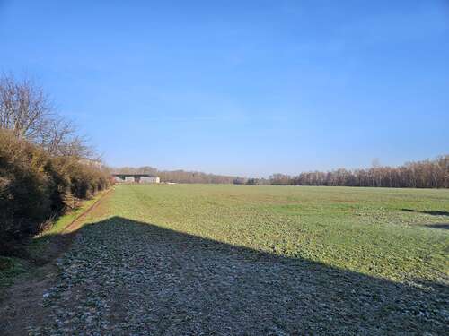 Foto - Haus zum Kaufen in Velpke 392.500,00 € 166 m²