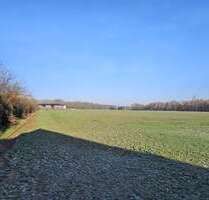 Haus zum Kaufen in Velpke 392.500,00 € 166 m²