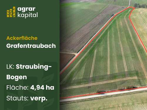Foto - Grundstück in Grafentraubach 639.000,00 € 49443 m²