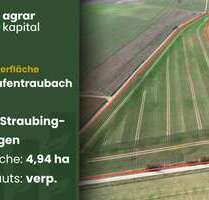 Grundstück in Grafentraubach 639.000,00 € 49443 m²