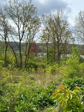 Foto - Grundstück zu verkaufen in Möhnesee 290.000,00 € 1118 m²