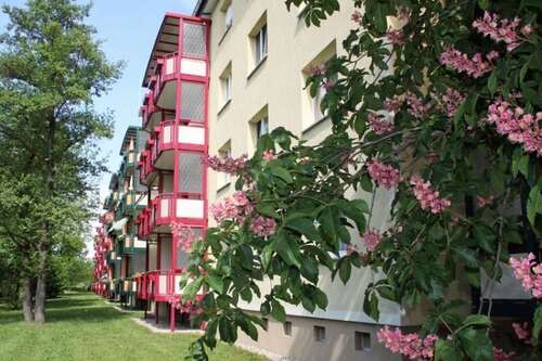 Foto - Wohnung zum Mieten in Hoyerswerda 350,00 € 62.74 m²