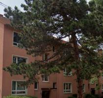 Wohnung zum Mieten in Bad Kreuznach 395,00 € 42 m²