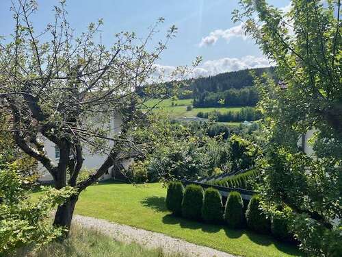 Foto - Grundstück zu verkaufen in Regen 87.500,00 € 700 m²